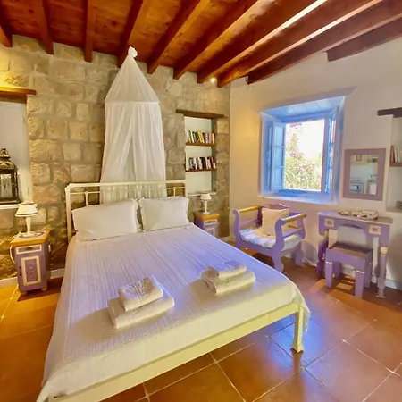 アパート Apanemo